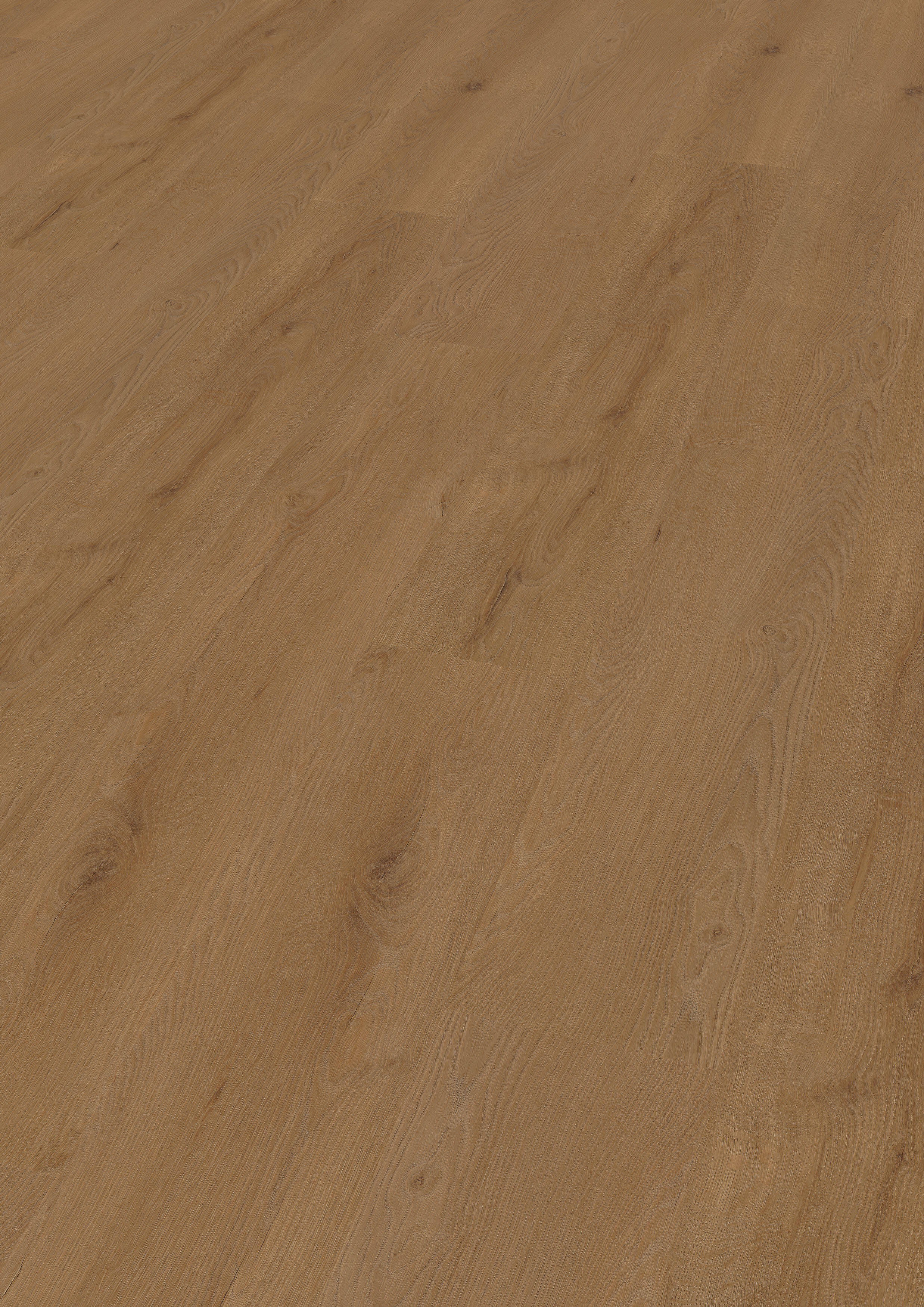 Vinyl 2,5 mm zum kleben "Dublin Oak Brown" - WINEO 800 wood XL