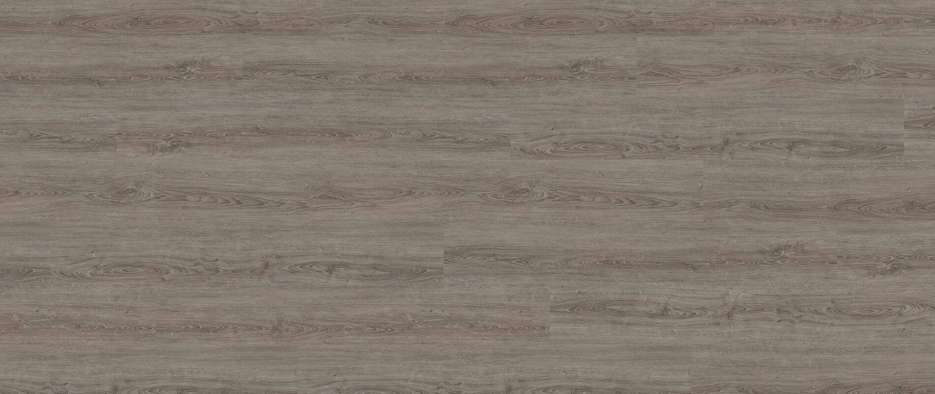 Wineo Vinyl 2,5 mm zum kleben &quot;Ponza Smoky Oak&quot; - WINEO 800 wood XL - 1 kaufen - Laminatparadies