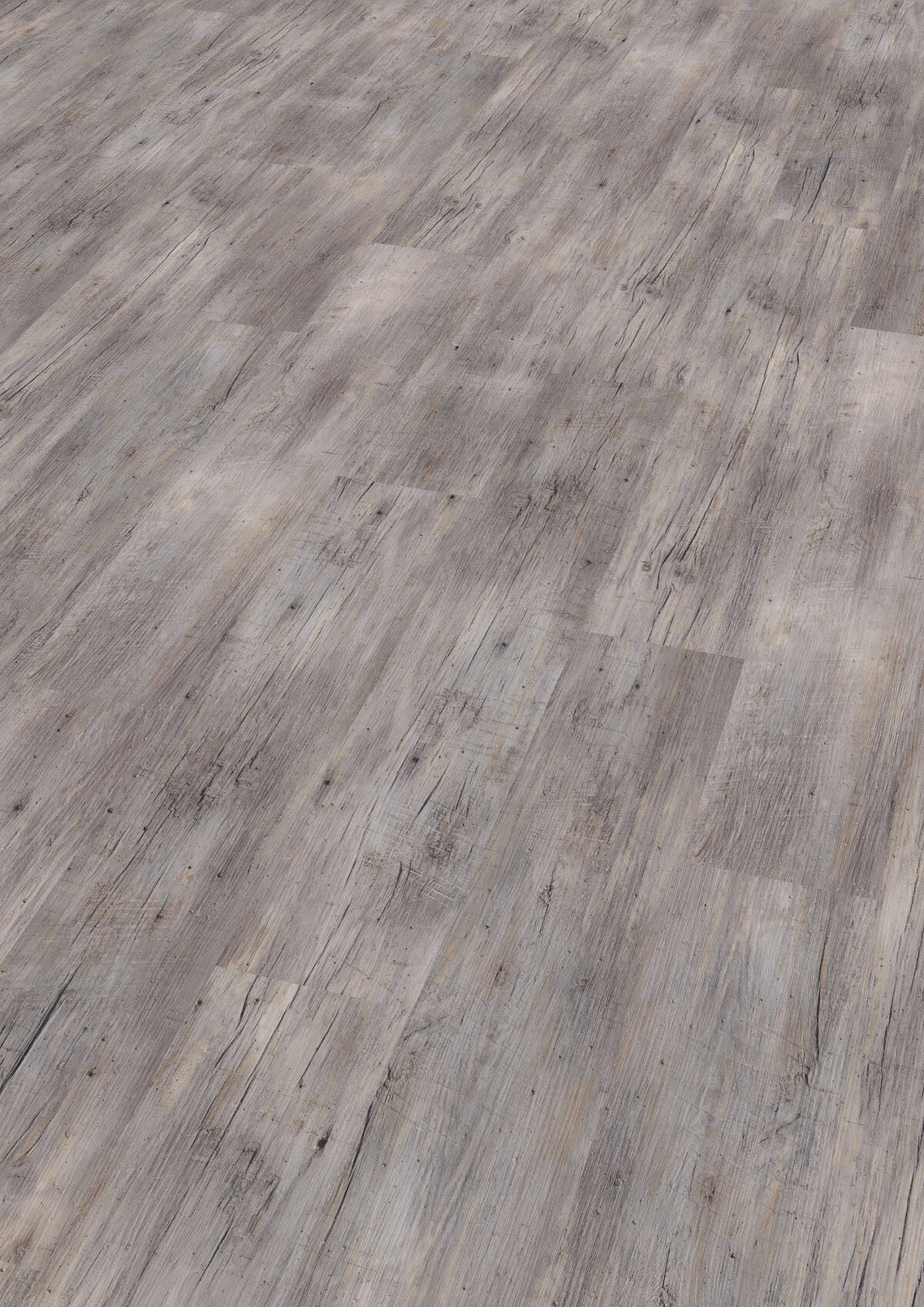 Wineo Vinyl 2,5 mm zum kleben &quot;Riga Vibrant Pine&quot; - WINEO 800 wood - 1 kaufen - Laminatparadies