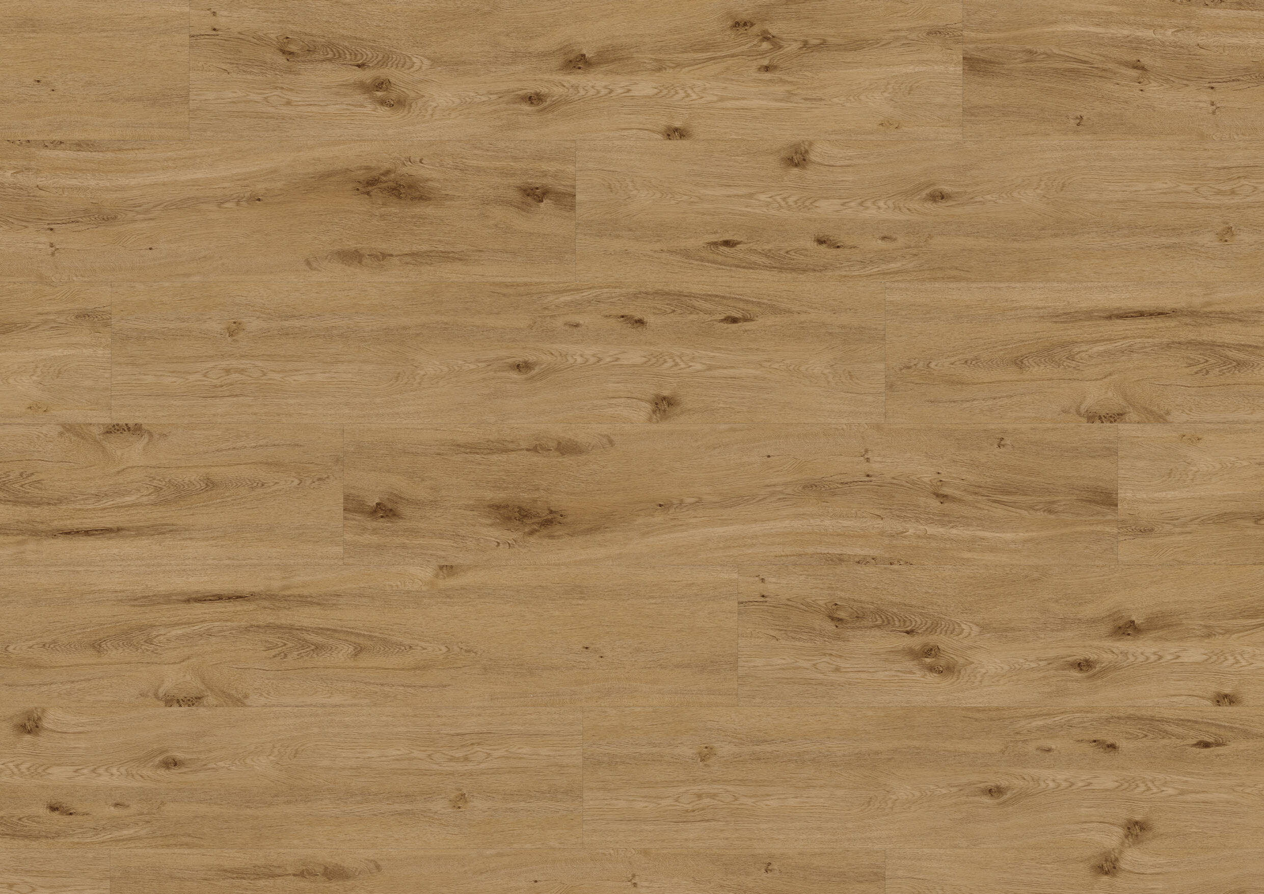 1101200701_1101210600_1101240200_LVT_C05_Eiche-York_OF-Plan_V01_LQ-1