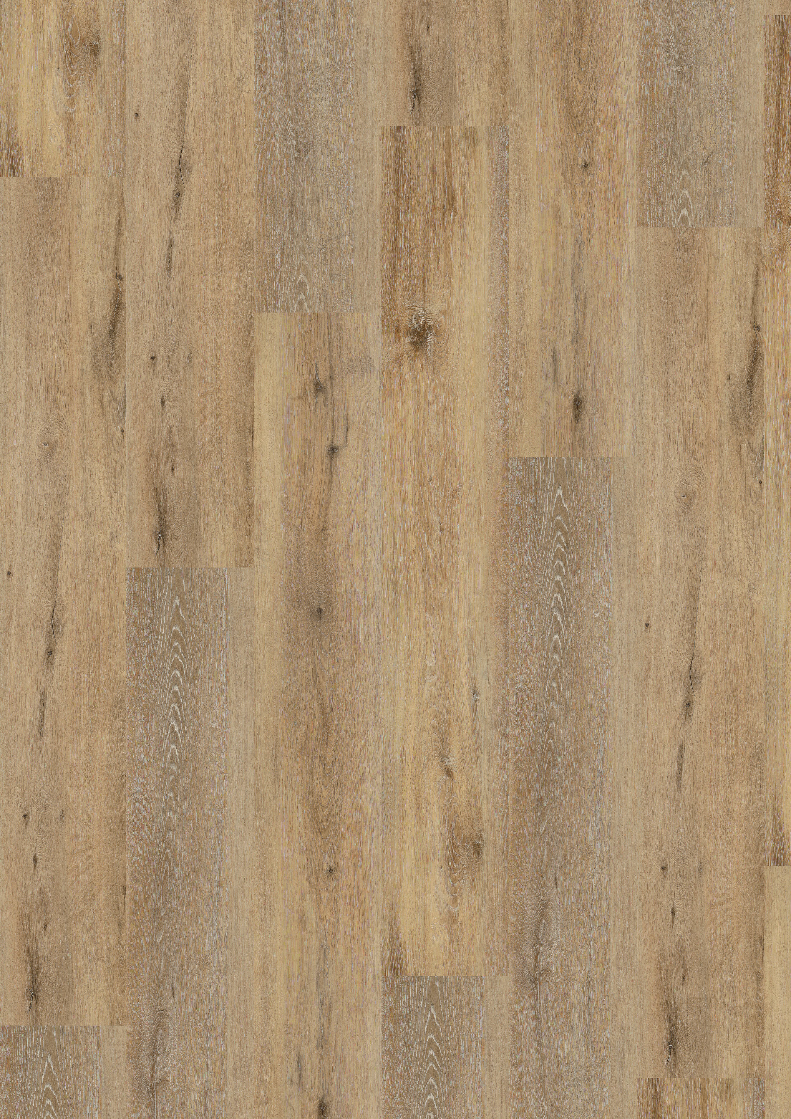 Vinyl 9 mm Klick &quot;Joy Oak Tender&quot; inkl. Trittschalldämmung - Wineo 400 wood XL - 1 kaufen - Laminatparadies