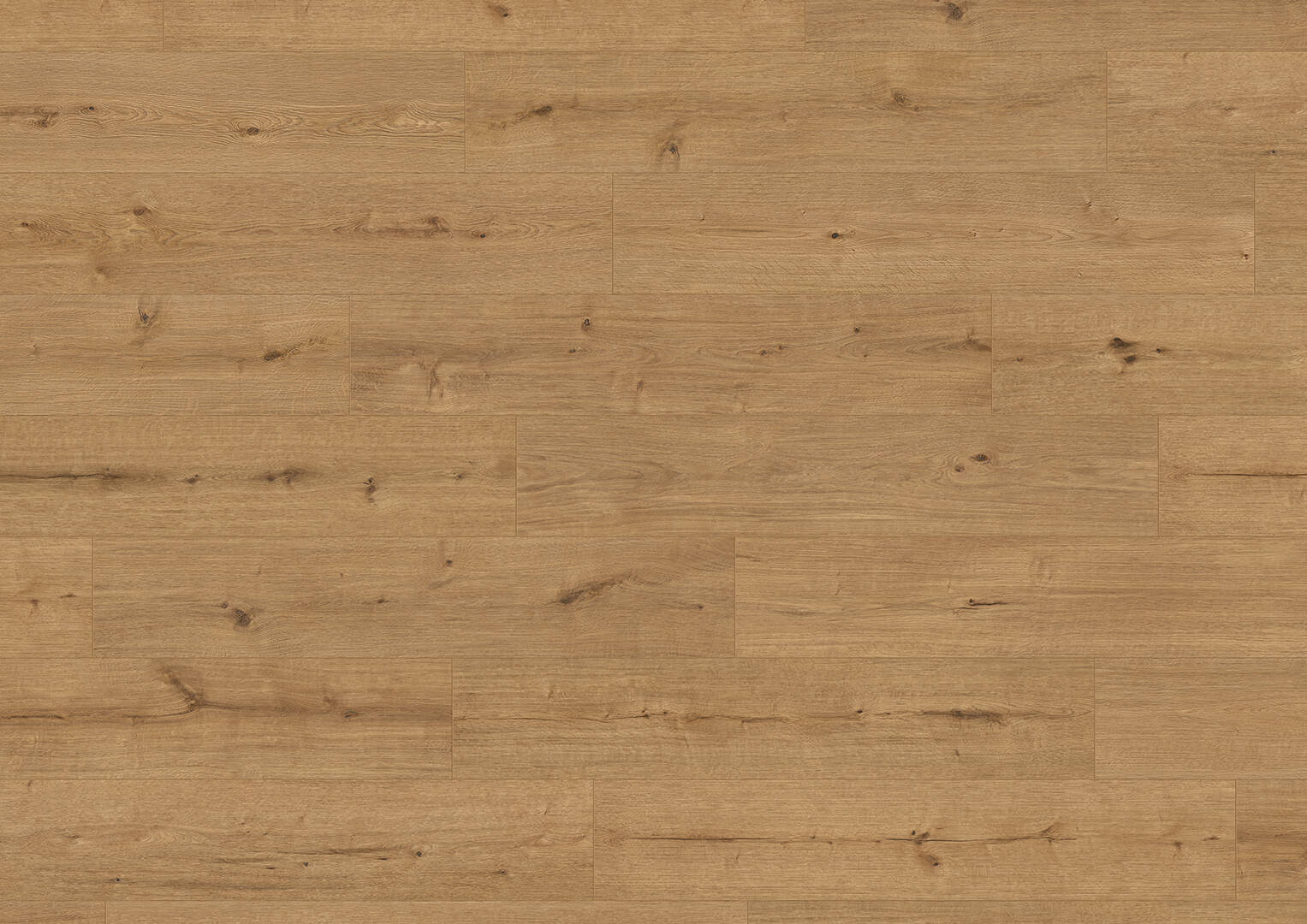 1101250405_AF_Eiche-Askella_OF-Plan_V01_RGB