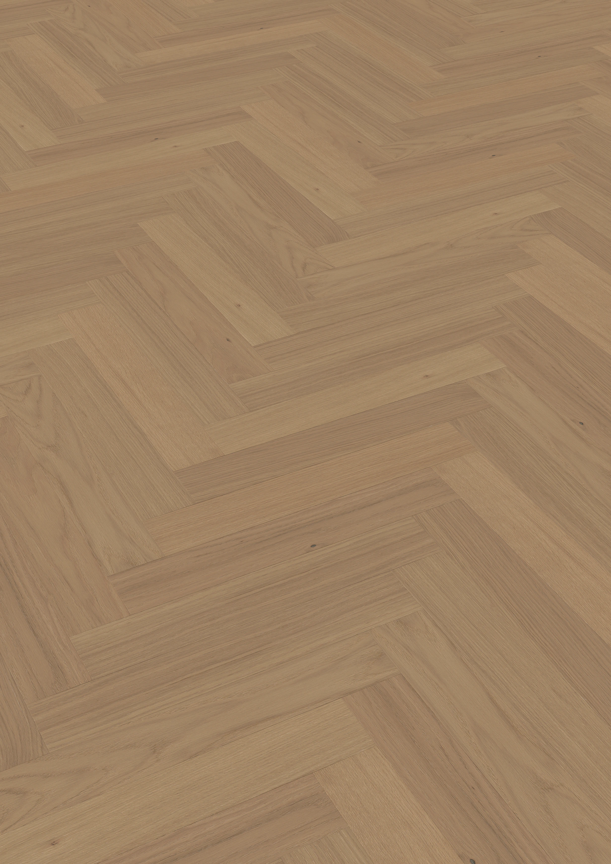 ter Hürne Hywood "Eiche Acadia" Fischgrät - Herringbone Collection - OLIO    