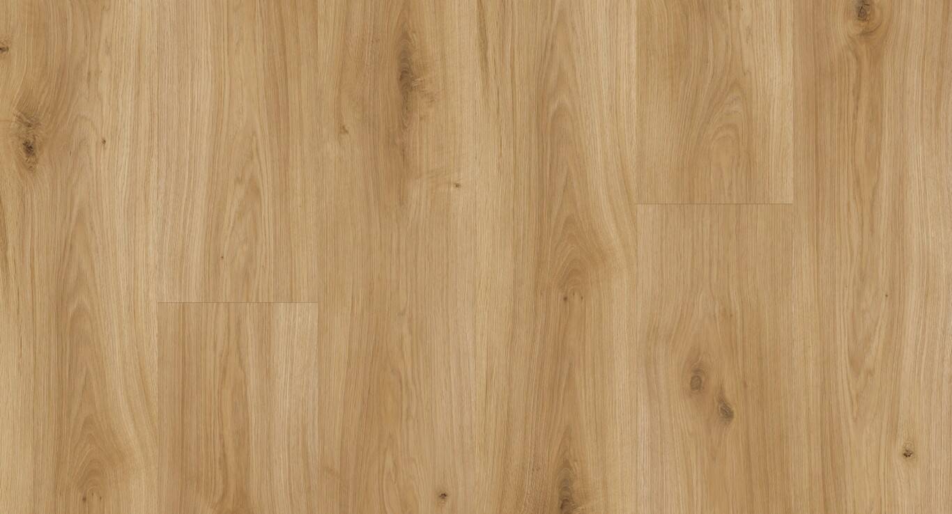 Parador Laminat &quot;Eiche Horizont natur V4&quot; - Basic 200 - 1 kaufen - Laminatparadies
