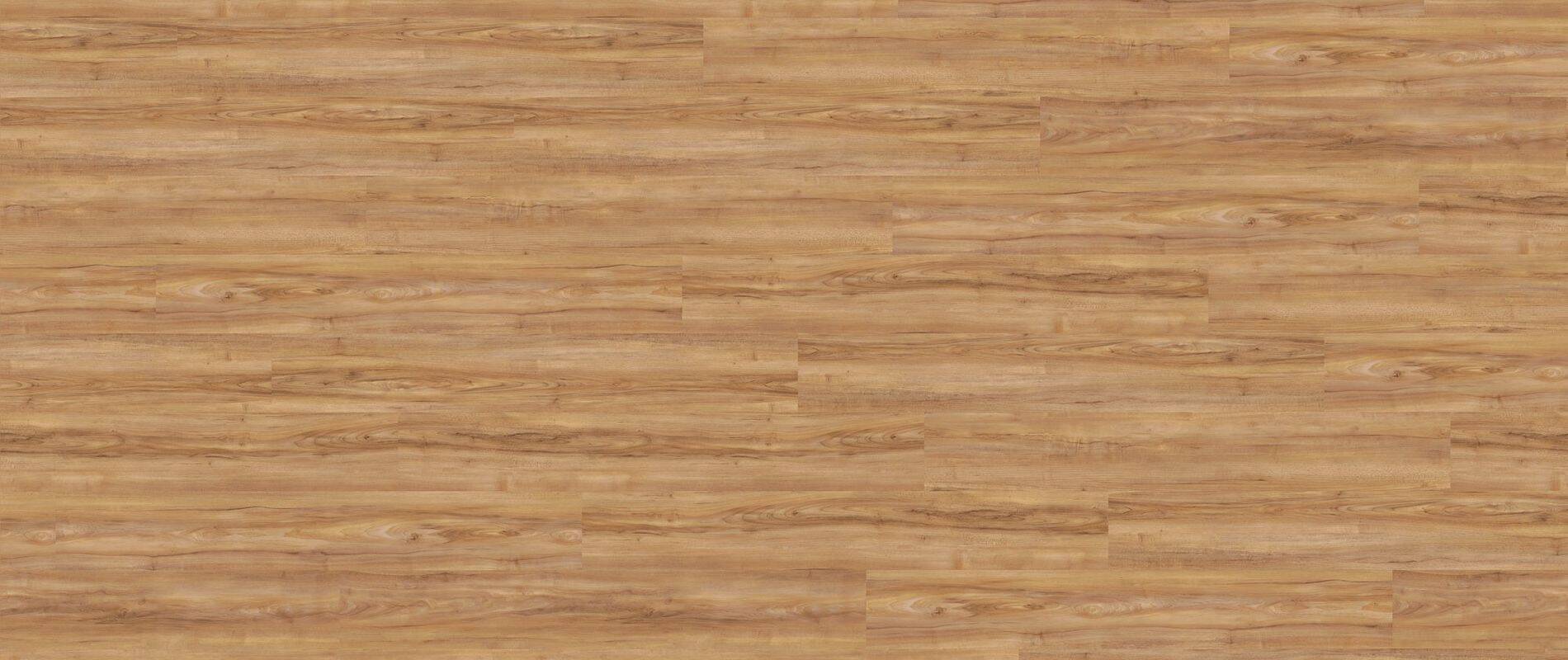 Wineo Vinyl 2,5 mm zum kleben &quot;Honey Warm Maple&quot; - WINEO 800 wood kaufen - Laminatparadies