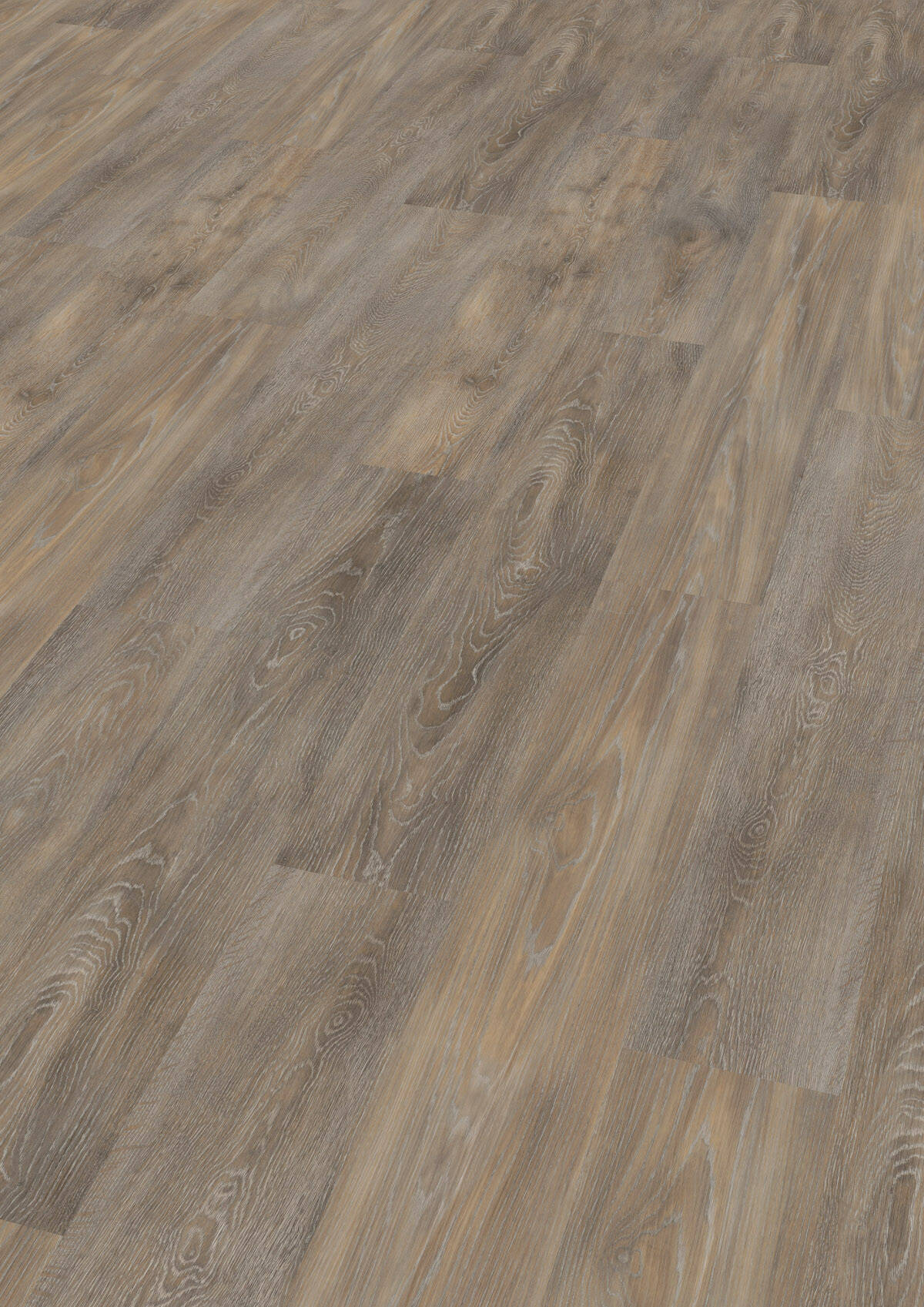 Wineo Vinyl 2,5 mm zum kleben &quot;Balearic Wild Oak&quot; - WINEO 800 wood - 1 kaufen - Laminatparadies
