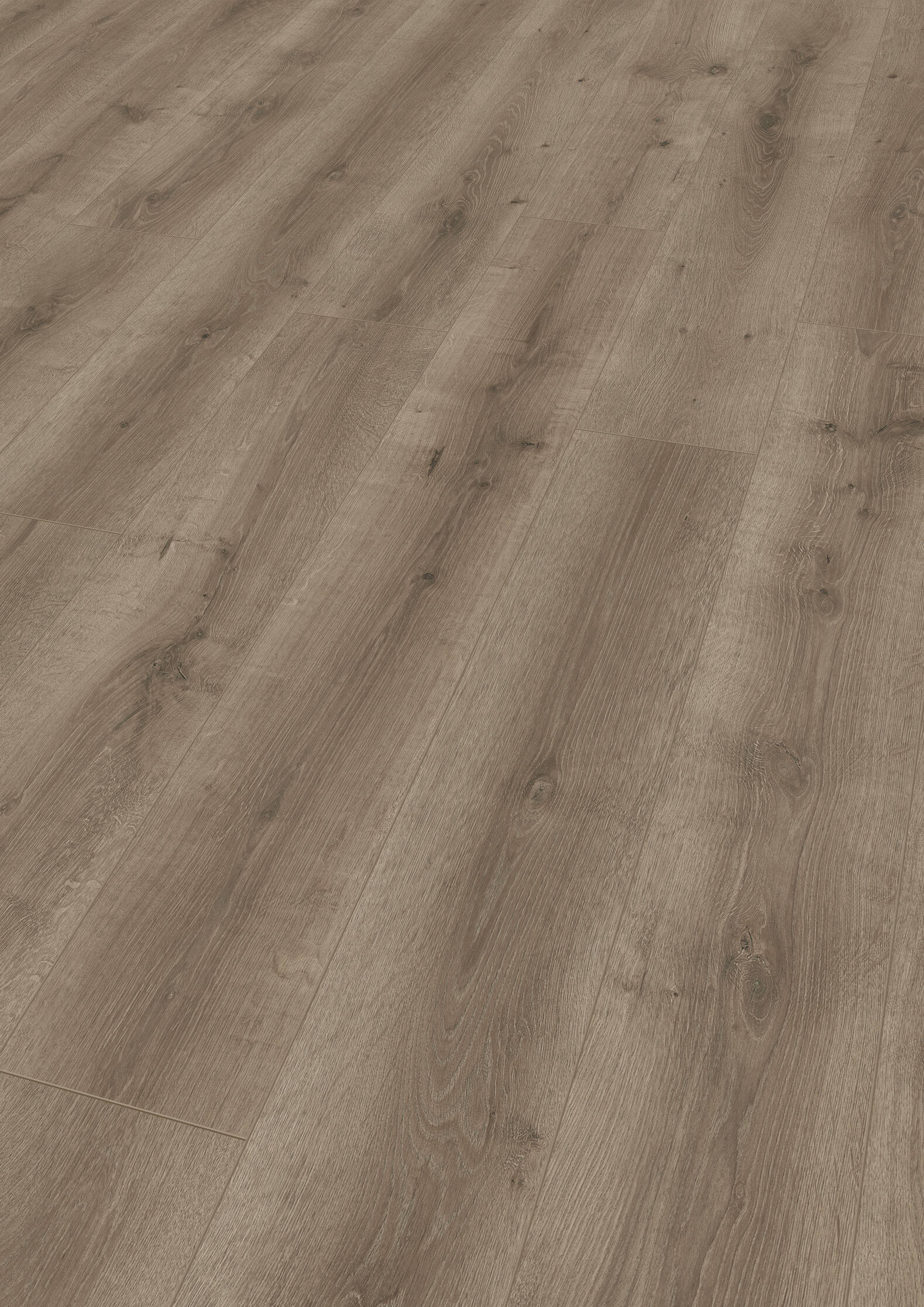 1101021835_LB_Eiche-Scotch-Saloon_OF-Pers_V01 ter Hürne Laminat "Eiche Scotch Saloon" 1 Stab - Classic Edition