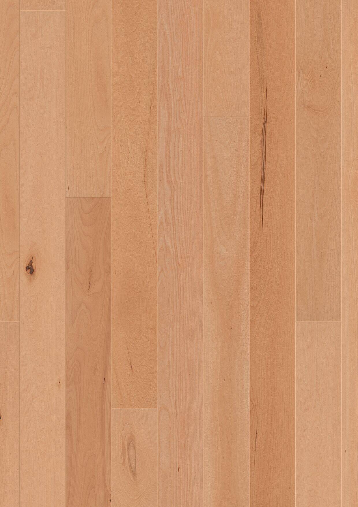 1101010638_FP_T11_Buche_OF-Plan