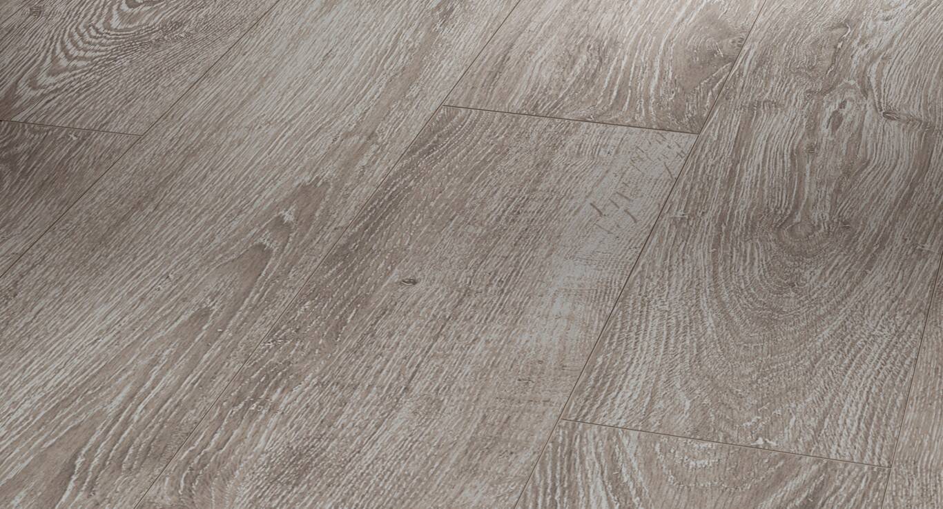 1594000_P_1366x768 Parador Laminat "Eiche lichtgrau V4" - Basic 200 kaufen - Laminatparadies