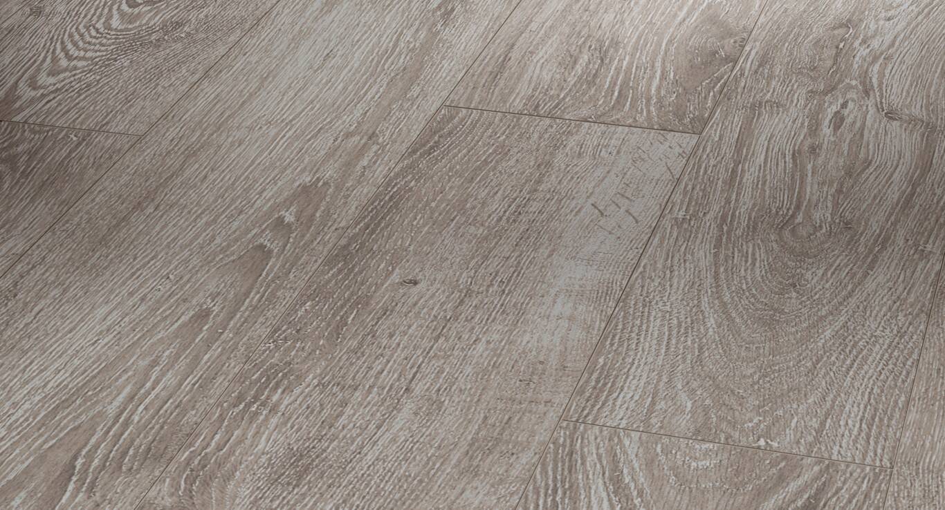 1426530_P_1366x768 Parador Laminat "Eiche lichtgrau V4" - Basic 400 kaufen - Laminatparadies