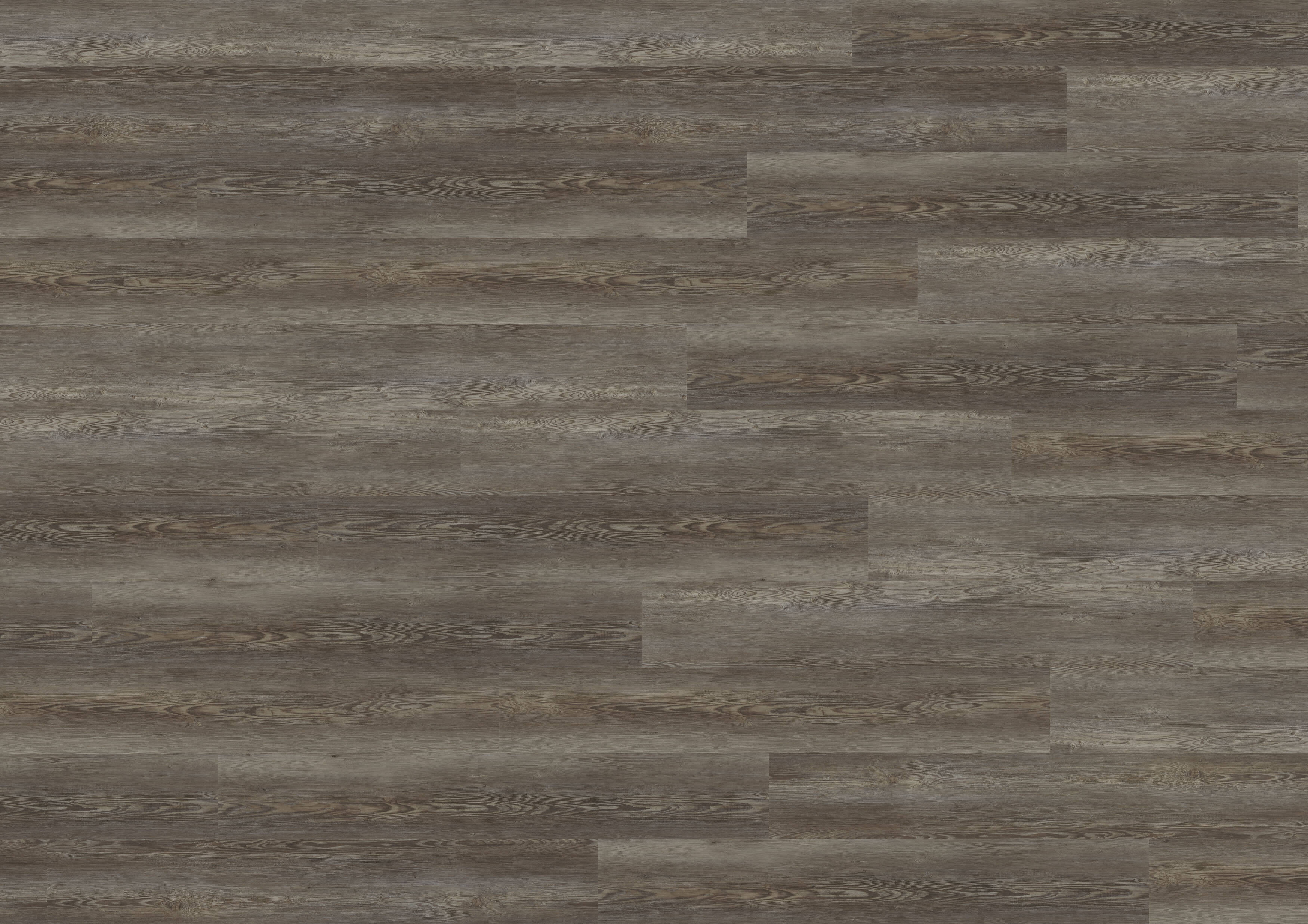 Draufsicht_DB841WXL_Catania_Pine_Grey