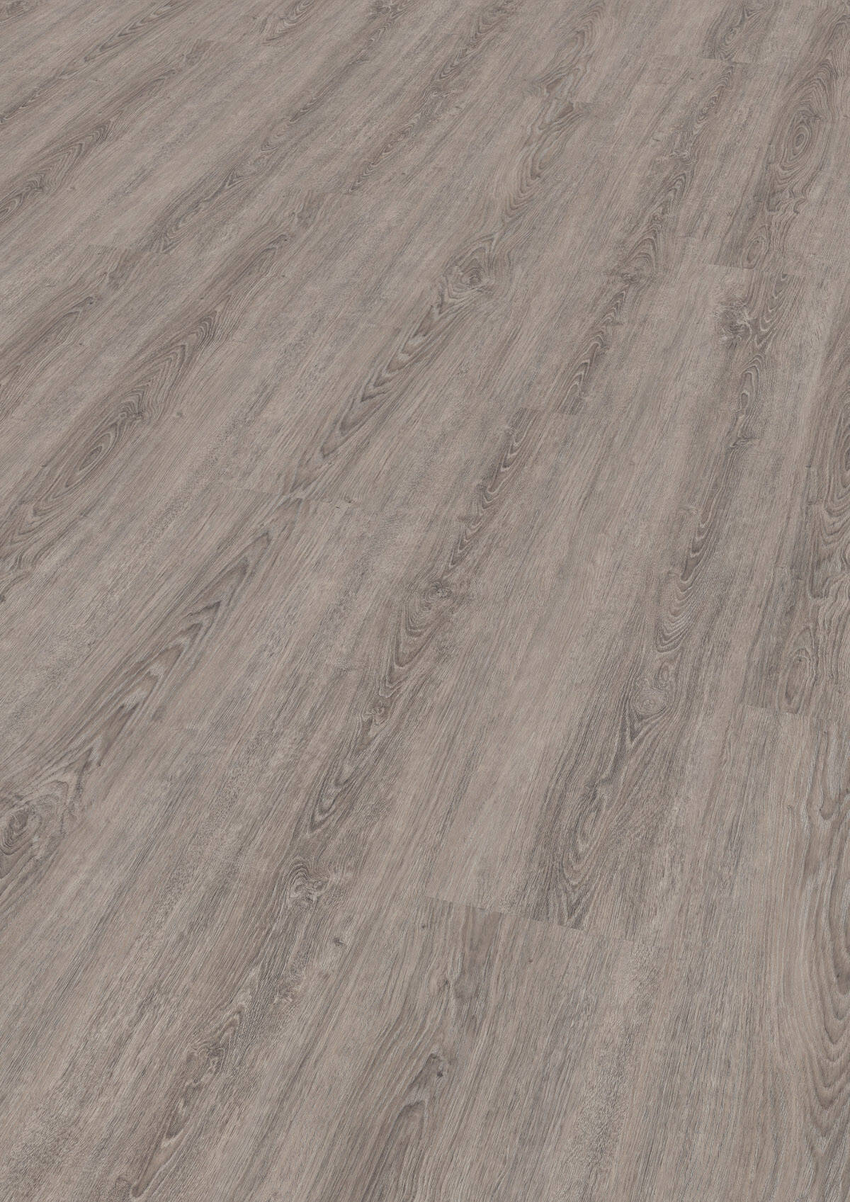 Wineo Vinyl 2,5 mm zum kleben &quot;Lund Dusty Oak&quot; - WINEO 800 wood XL kaufen - Laminatparadies