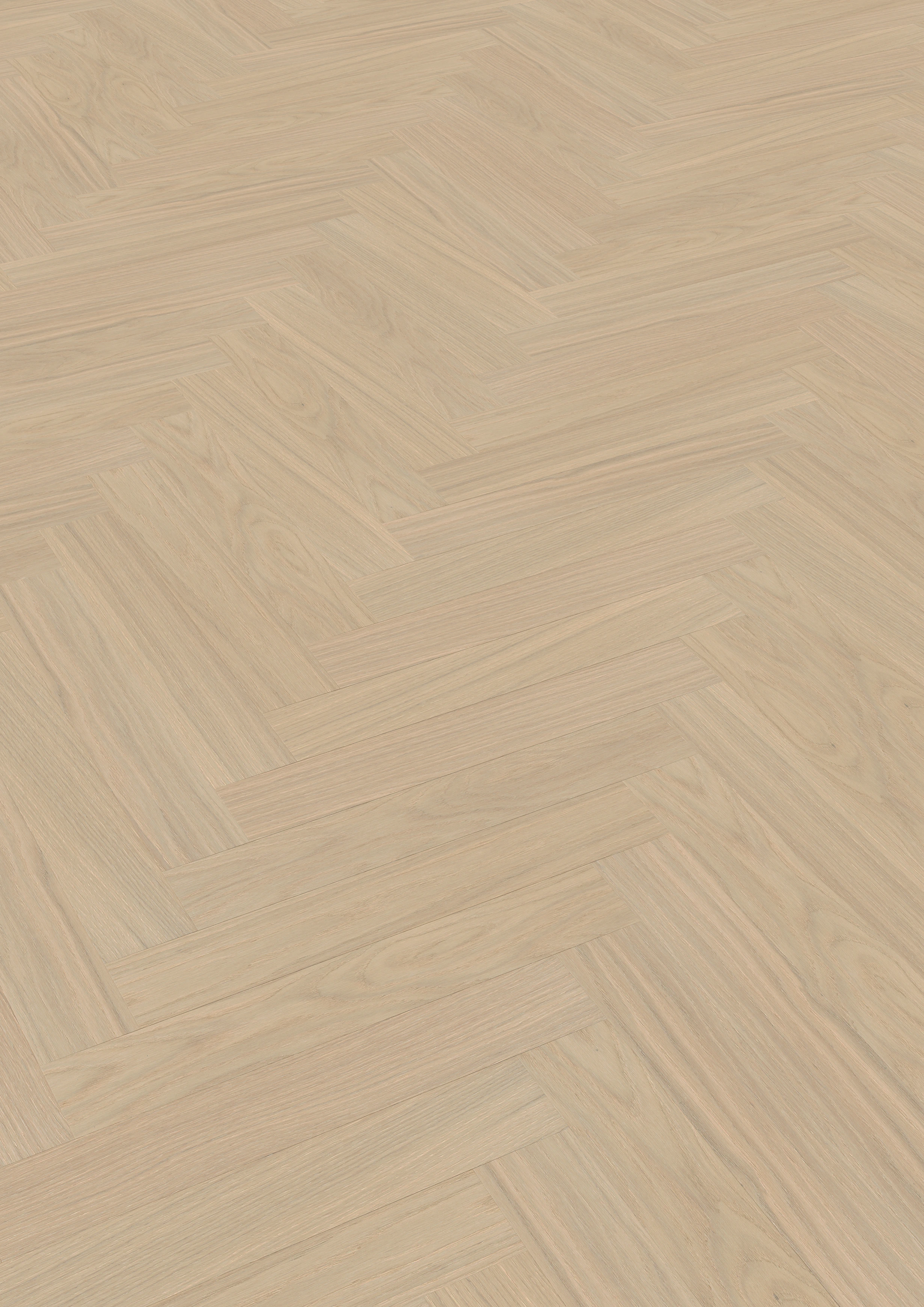 ter Hürne Hywood "Eiche Morvan" Fischgrät - Herringbone Collection - OLIO  