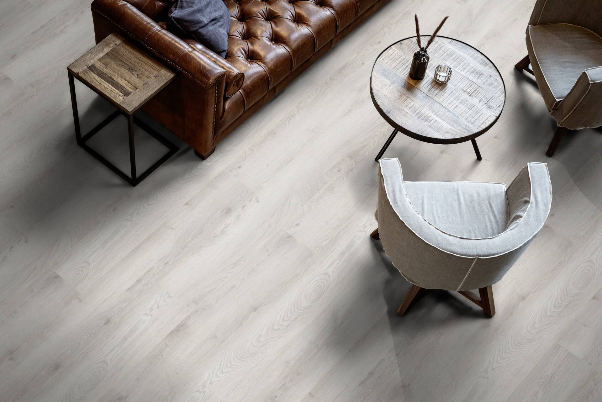 EicheFuerteventuraR2